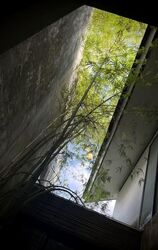 Arcadia Road (D11), Semi-Detached #528482041